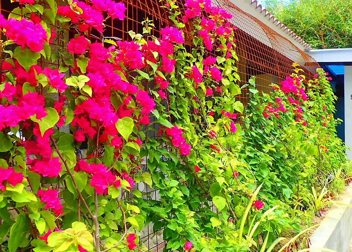 Resort Aozora Seaside Mactan